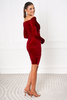 FEDERICA red velvet dress knee length